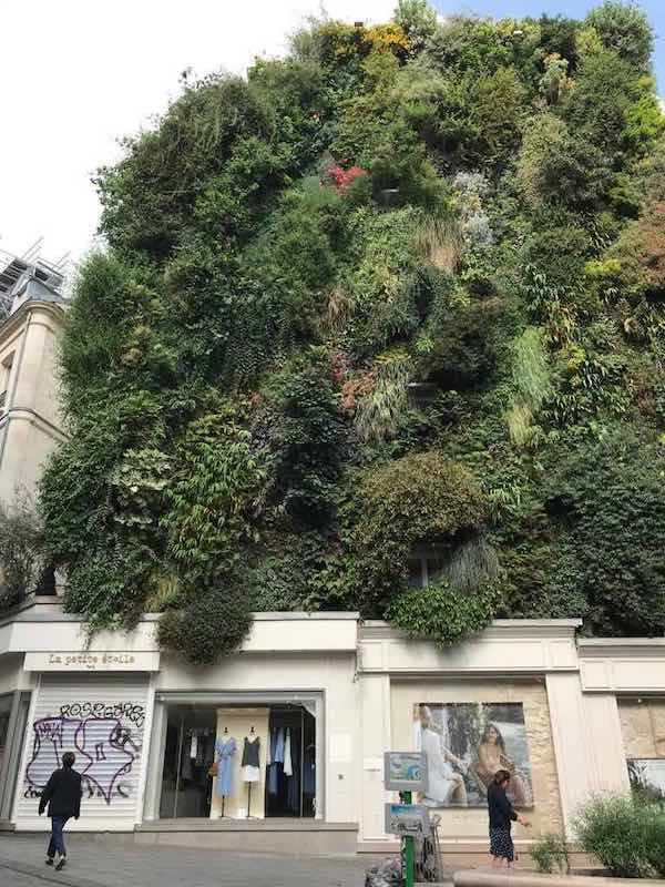 An Artful Gardener The Oasis at Aboukir Paris