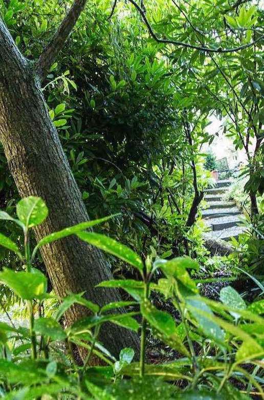 An Artful Gardener Visit the Gardens Pathway view portrait