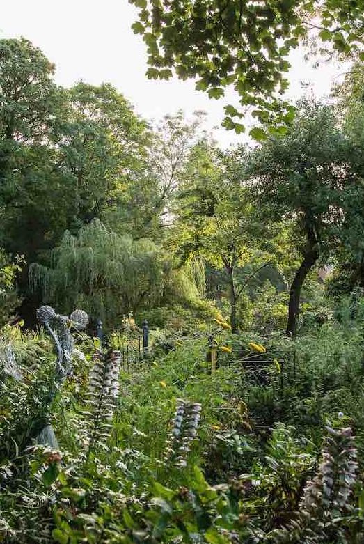 An Artful Gardener Visit the Gardens trees and plants portrait
