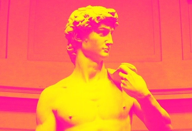 An Artful Gardener - An Artful Blog - Michelangelo's David head and shoulders in pink and yellow landscape