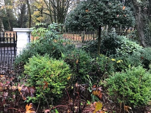 An Artful Gardener - An Artful Blog - Topiary bushes at the Old Vicarage